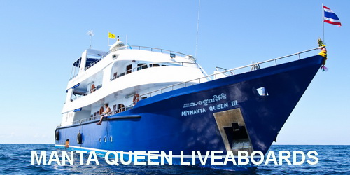 Manta Queen fleet liveaboard booking